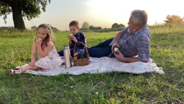 Gray Haired Father Two Children Picnicking Meadow Sunset Little Boy — 图库视频影像