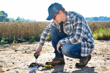 Agronomy specialist measuring soil pH value, moisture, temperature by using soil tester at agricultural wheat field sunrise. Farmer working, applying measuring instrument outdoors. Soil certification