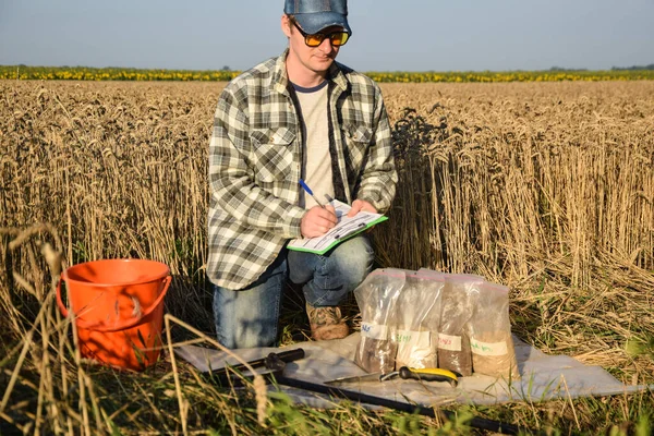 Male Agronomist Preparing Soil Samples Sample Bags Laboratory Analysis Writing Royalty Free Stock Fotografie