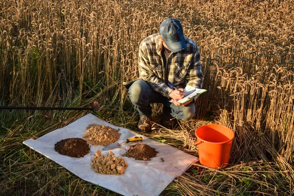 Male Agronomist Preparing Soil Samples Laboratory Analysis Writing Information Sheet — Stockfoto