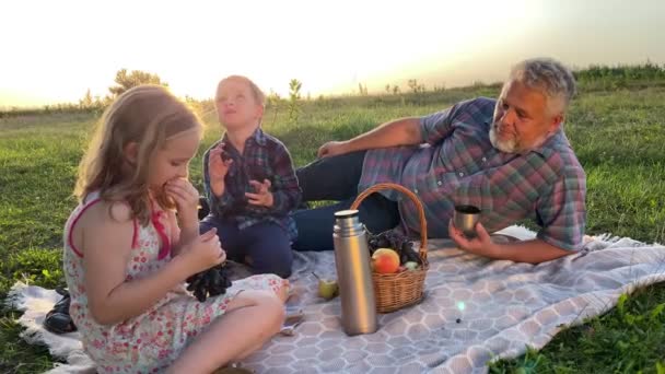 Rodina Dvěma Dětmi Piknik Spolu Venku Okouzlující Děti Jíst Ovoce — Stock video