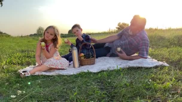 带着两个孩子在户外野餐的家庭 迷人的孩子们吃苹果 在夏日落日的金光闪闪中 女孩在大自然中沉思了一会儿 快乐的父母与儿子的女儿享受闲暇 — 图库视频影像
