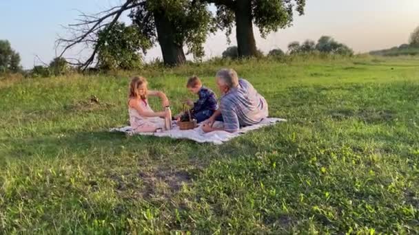 Familia Con Dos Hijos Picnic Juntos Aire Libre Alegre Padre — Vídeo de stock