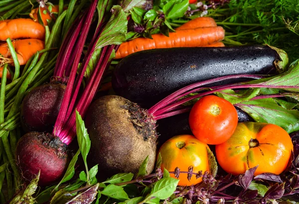 Abundance fresh multicolored vegetables on table indoors. Still life of beetroot, carrot, tomato, eggplant, asparagus, greens, herbs illuminated by daylight. Healthy nutrition, dieting. Organic food.