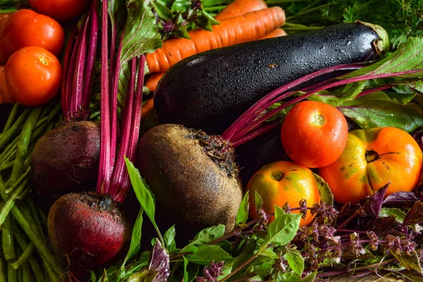 Abundance fresh multicolored vegetables on table indoors. Still life of beetroot, carrot, tomato, eggplant, asparagus, greens, herbs illuminated by daylight. Healthy nutrition, dieting. Organic food.