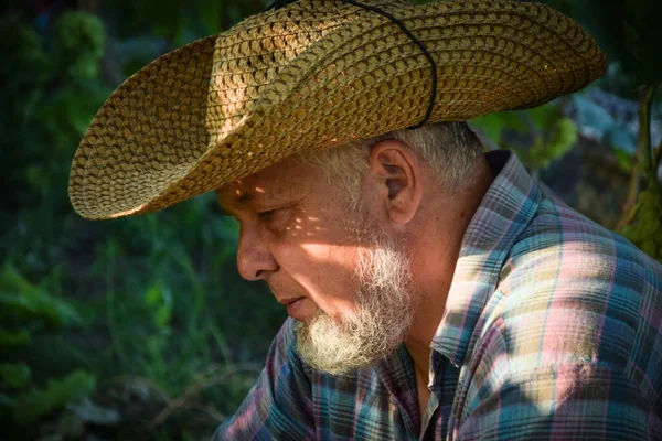 Side View Elderly Adult Man Wearing Straw Hat Sitting Garden — Stock Photo, Image