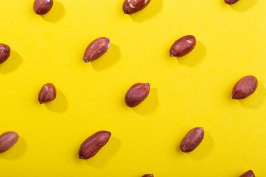 Fıstık deseni. Sarı arka planda güneşli, modaya uygun fıstık deseni. Renkli desen.