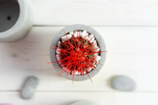 木製の背景にコンクリート鍋に赤い針を持つサボテン 具体的なキャッシュポット デザインのファッショントレンド トップ表示 — ストック写真