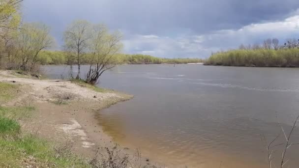 乌克兰基辅地区的Desna河 春季季节 — 图库视频影像