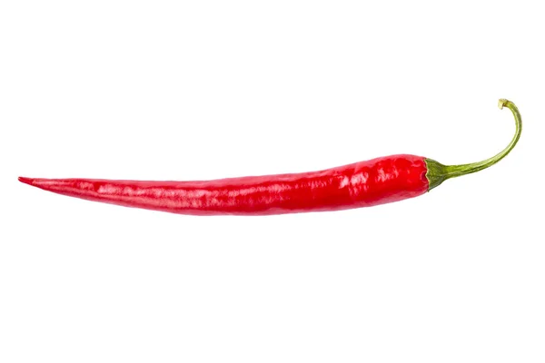 Egyszeri Chili Paprika Izolált Fehér Háttérrel Chili Csípős Paprika Egészben — Stock Fotó