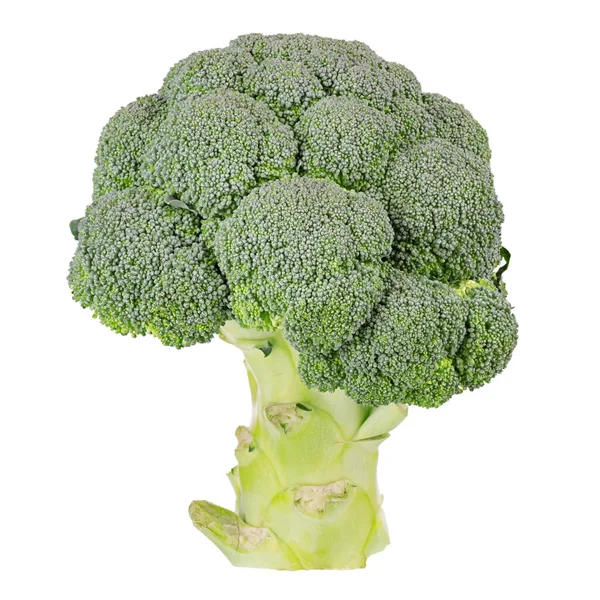 Čerstvé Rawe Brokolice Izolované Bílém Pozadí Soubor Obsahuje Cestu Oříznutí — Stock fotografie