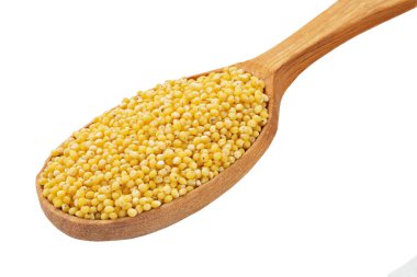 Kuru darı beyaz arka planda izole edilmiş tahta bir kaşıkta inliyor. Tam alan derinliği. Dosya kırpma yolu içeriyor.