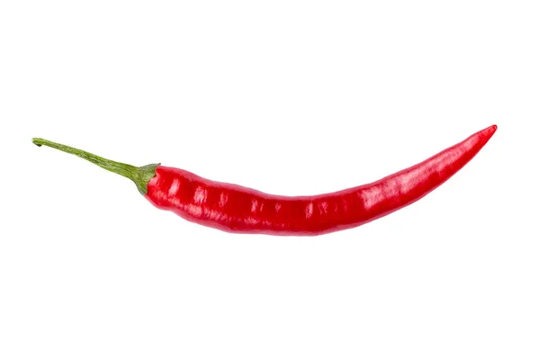 Ripe Chili Pepper Isolated White Background File Contains Clipping Path — Stock Photo, Image