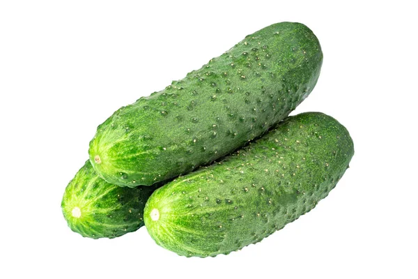 Isolated Cucumber Fresh Organic Cucumber Isolated White Background Cucumber Macro — Stockfoto