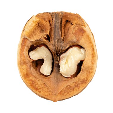 Yarım ceviz ve beyaz arka plan. Dosya kırpma yolu içeriyor. Tam alan derinliği.