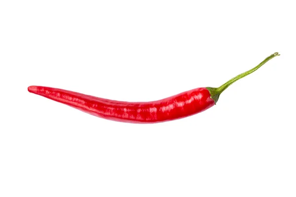 Singel Chilipeppar Isolerad Vit Bakgrund Chili Varm Peppar Hel Filen — Stockfoto