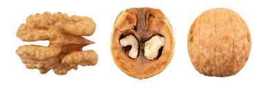 Set of delicious walnuts  on isolated with white background. File contains clipping path. Full depth of field.