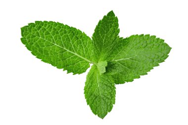 Mint leaf. Fresh mint on white background. Mint leaves isolated. Full depth of field. File contains clipping path.