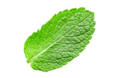 Mint leaf. Fresh mint on white background. Mint leaves isolated. Full depth of field. File contains clipping path.