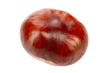 At kestanesi beyaz arka planda izole edilmiş. Dosya kırpma yolu içeriyor.