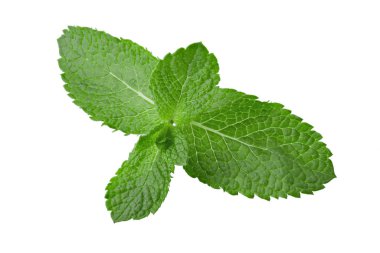 Mint leaf. Fresh mint on white background. Mint leaves isolated. Full depth of field. File contains clipping path.