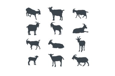 Farklı pozlardaki keçi, vektör siluet hisse senedi çizimi.