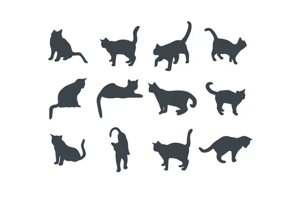 Gatos Diferentes Poses Vector Silueta Stock Ilustración — Archivo Imágenes Vectoriales