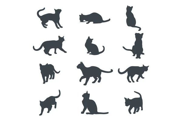 Chats Dans Différentes Poses Illustration Stock Silhouette Vectorielle — Image vectorielle