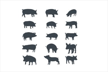 Farklı pozlardaki domuz vektör silueti hisse senedi çizimi