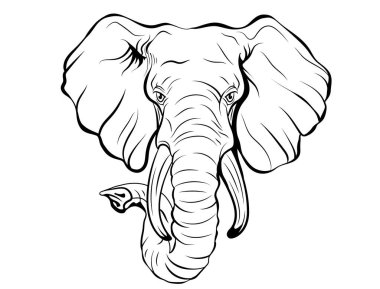 Afrika fili kafasının taslağı.