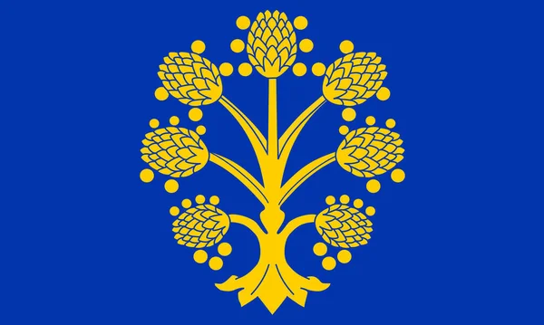 Ovanifrån Appleby Flagga Westmorland Stad Förenade Konungariket Storbritannien Och Englands — Stockfoto