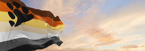 Ayı Kardeşliği Bayrağı Bulutlu Gökyüzünde Rüzgarda Dalgalanıyor Özgürlük Aşk Kavramı — Stok fotoğraf