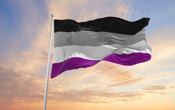 Asexuální Vlajka Pýchy Vlající Větru Zamračené Obloze Koncept Svobody Lásky — Stock fotografie