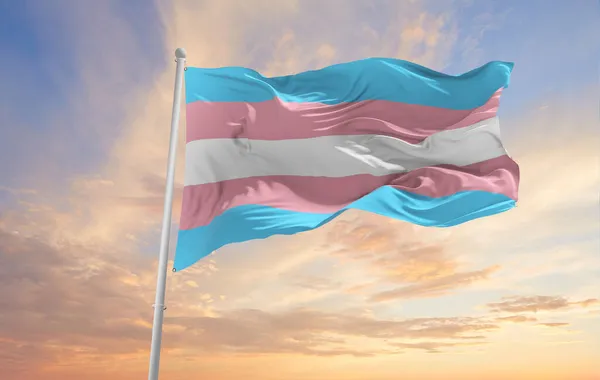 Bandera Del Orgullo Transgénero Ondeando Viento Cielo Nublado Concepto Libertad —  Fotos de Stock