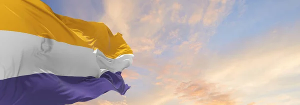 Waving Women Suffrage Bandeira Dos Estados Unidos Com Direito Voto — Fotografia de Stock