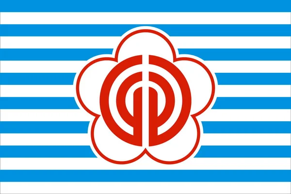 台北国旗全景 1981 2010年 中华人民共和国 没有旗杆 平面设计 国旗背景 — 图库照片