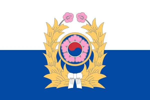 南韩南韩的大韩民国陆军的头像 韩国的旅行和爱国心的概念 没有旗杆 平面设计 国旗背景 — 图库照片