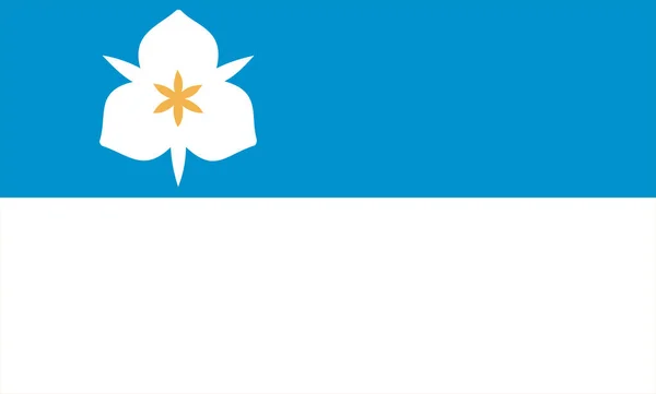 Vista Superior Salt Lake City Bandeira Dos Eua Sem Mastro — Fotografia de Stock