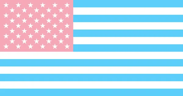 Top View Flag Reverse Trans United States Flagpole Plane Design — Stock Photo, Image