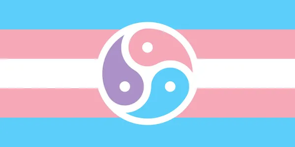 Widok Góry Flagi Transgender Bisexual Bdsm Pride Bez Masztu Projekt — Zdjęcie stockowe