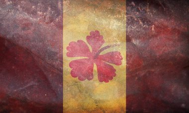 Faafine 'in eski bayrağının üst görüntüsü, grunge desenli, bayrak direği yok. Uçak tasarımı, tasarım. Bayrak arkaplanı. Özgürlük ve aşk kavramı. Gurur ayı, aktivizm, toplum ve özgürlük