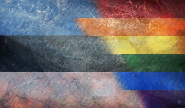 Grunge desenli, bayrak direği olmayan Estonya 'nın ulusal lgbt retro bayrağının üst görüntüsü. Uçak tasarımı, tasarım. Bayrak arkaplanı. Özgürlük ve aşk kavramı. Gurur ayı. Eylemcilik, toplum ve özgürlük