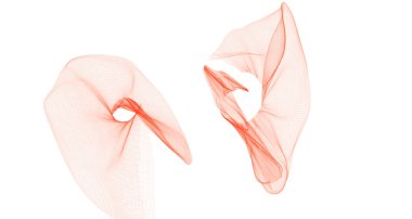 Kırmızı dairenin sihirli formu. Soyut arkaplan, ışık girdabı. Beyaz Arkaplan Karşısında Kırmızı Işık Boyası