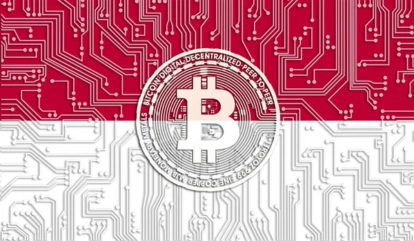 Endonezya Bitcoin Bayrağı Entegre Devre Kurulu Deseni Bitcoin Stok Büyümesi — Stok fotoğraf