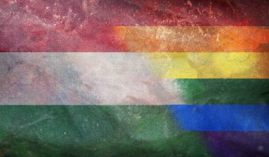 Macaristan 'ın ulusal lgbt retro bayrağının grunge dokusuyla üst görüntüsü, bayrak direği yok. Uçak tasarımı, tasarım. Bayrak arkaplanı. Özgürlük ve aşk kavramı. Gurur ayı. Eylemcilik, toplum ve özgürlük