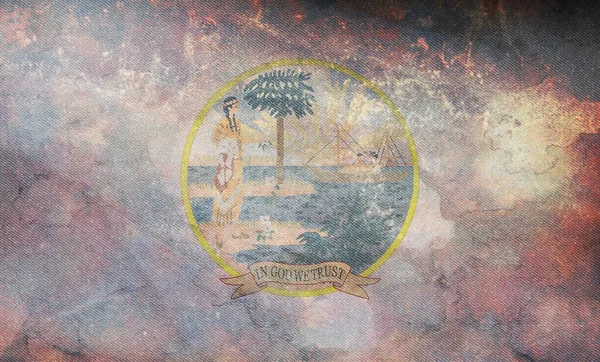 Vista Superior Florida 1868 1900 Bandera Estados Unidos Sin Asta — Foto de Stock
