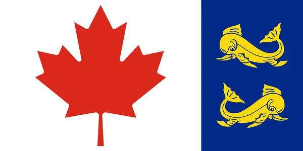 Vue Dessus Drapeau Des Garde Côtes Canada Canada Patriote Canadien — Photo