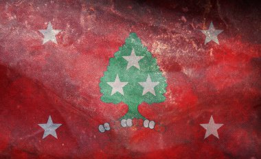 Tennessee Valisi, ABD bayrağı, bayrak direği yok. Uçak tasarım düzeni Bayrak arkaplanı