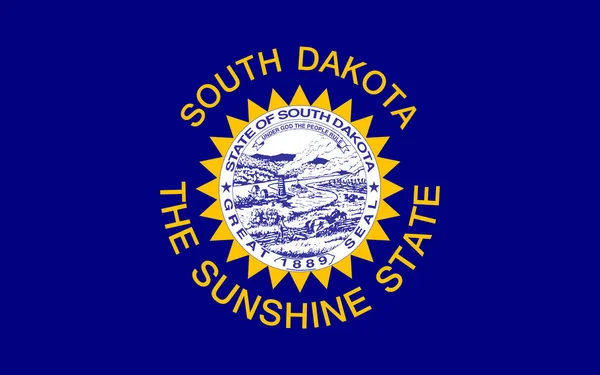 南达科他州的头像 1963年 美国国旗 没有旗杆 平面设计布局旗帜背景 — 图库照片