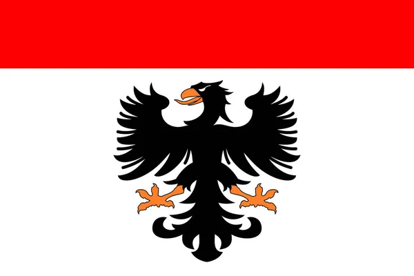Ovanifrån Flaggan Aarau Schweiz Schweiziska Resor Och Patriot Koncept Ingen — Stockfoto